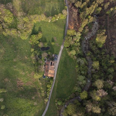 Ferienwohnung Im Gruenen Altstätten Eksteriør billede